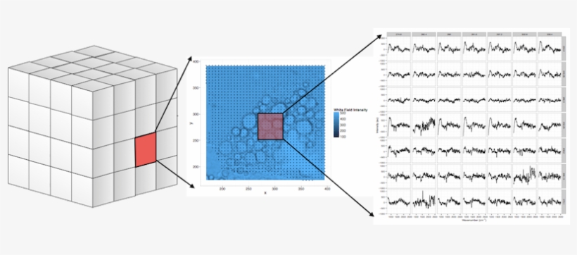 Sil - Floor Plan, transparent png #3120610