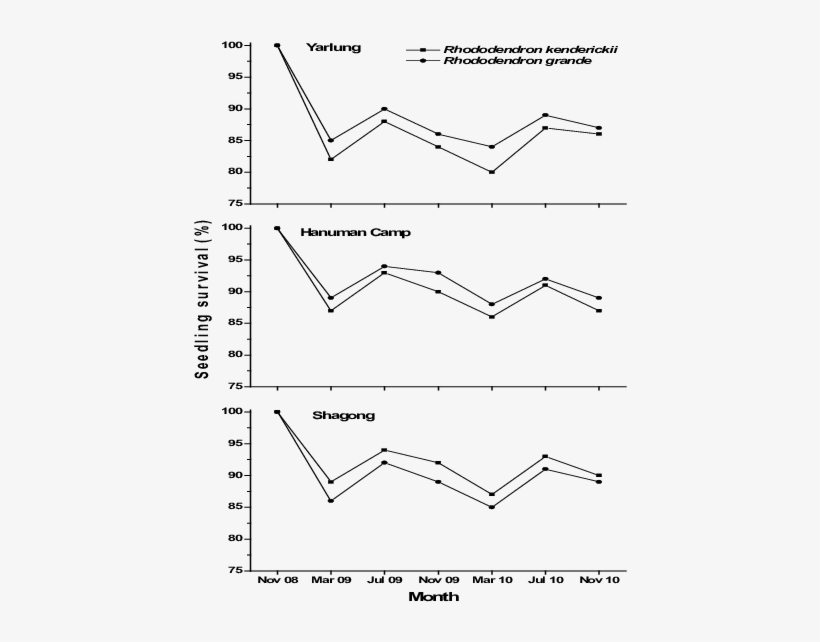 Seedlings Survival Of The Two Rhododendron Species - Diagram, transparent png #3120633