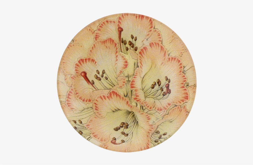 Rhododendron Cinnamomeo Rhododendron Cinnamomeo - Rhododendron, transparent png #3120708