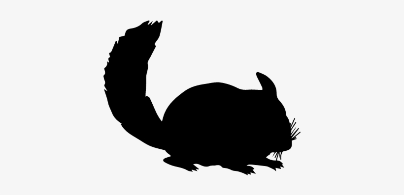 Chinchilla Mammal Animal Silhouette Vector - Chinchilla Icon, transparent png #3122009