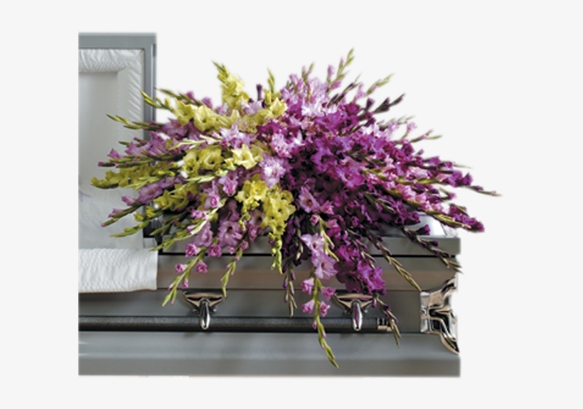 Gladiolus Casket Cover - Ctt81 11, transparent png #3122032
