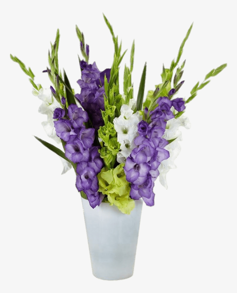 Gladiolus Composition In Vase - Gladiolus Plant Bulbs By Bloomsz - Gladiolus Gemstones, transparent png #3122054