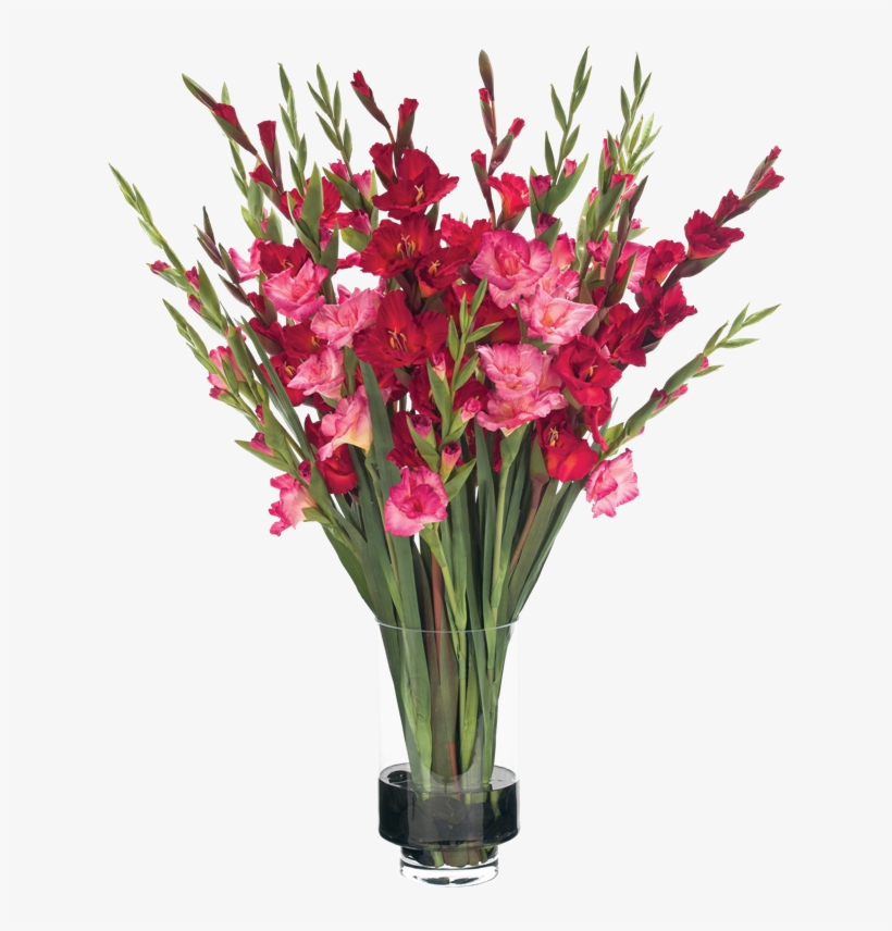 Gladiolus In Vases - Гладиолусы В Вазе, transparent png #3122205