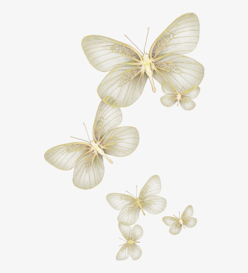 Butterfly Wing Moth Fly Sky Yellow Glitter Wind Flying - Butterfly, transparent png #3122318
