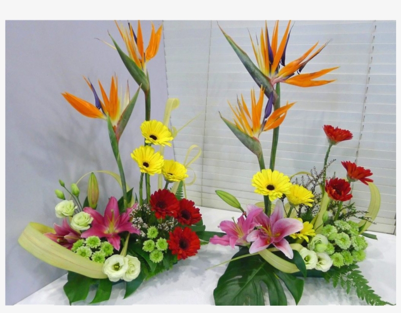 Oa102-1024x749 - Bouquet, transparent png #3122450