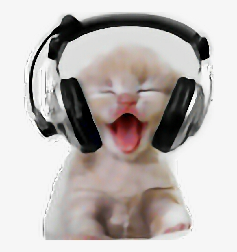 Made By @swalker3 Headphones Earphones Cat Kitty Kitten - Funny Mental Health Gif, transparent png #3122898
