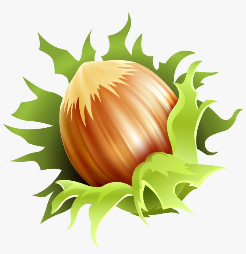 Hazelnut Clipart, transparent png #3125514