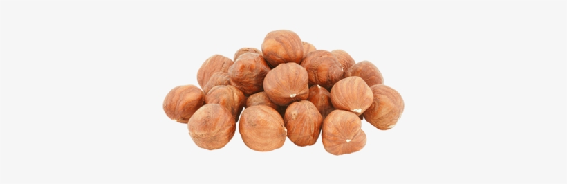 Raw Hazelnut Roasted Hazelnut In Bulk - Hazelnut Oil For Hair, transparent png #3125536
