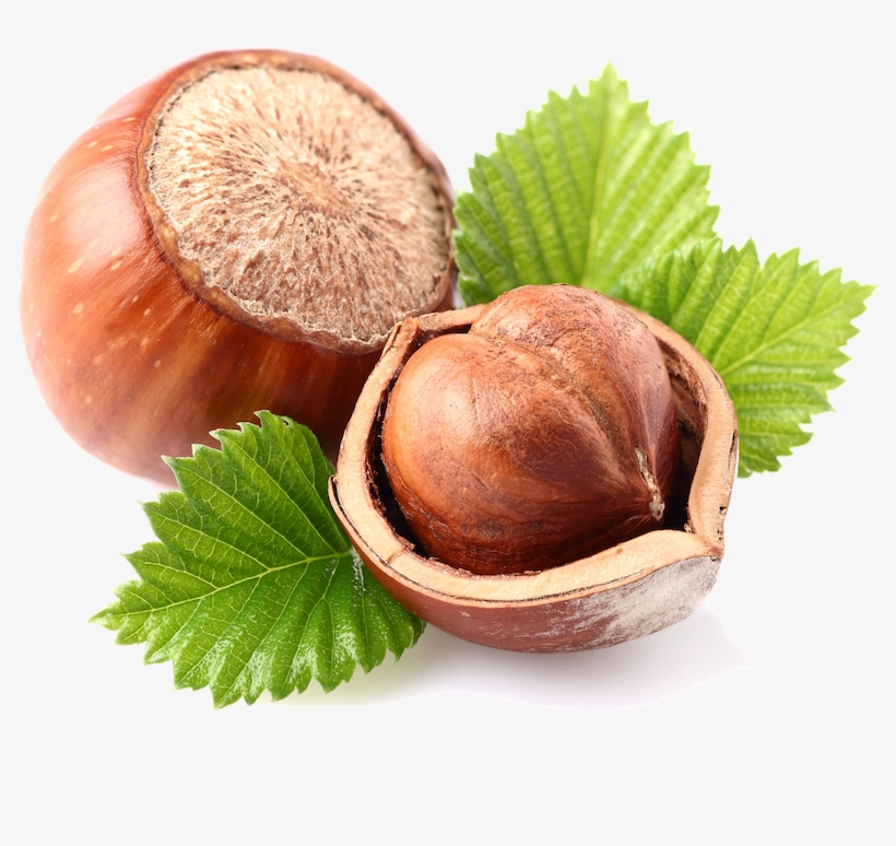 The Industry's - Tpa Hazelnut, transparent png #3125779