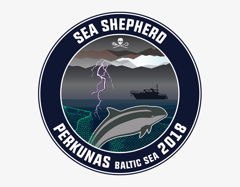 Click Here To Learn More About The Threats To The Porpoises - Sport Club Internacional, transparent png #3126042