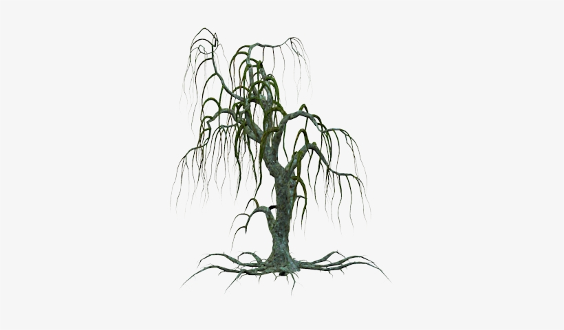 Tree-051 - Png Creepy Tree, transparent png #3127020