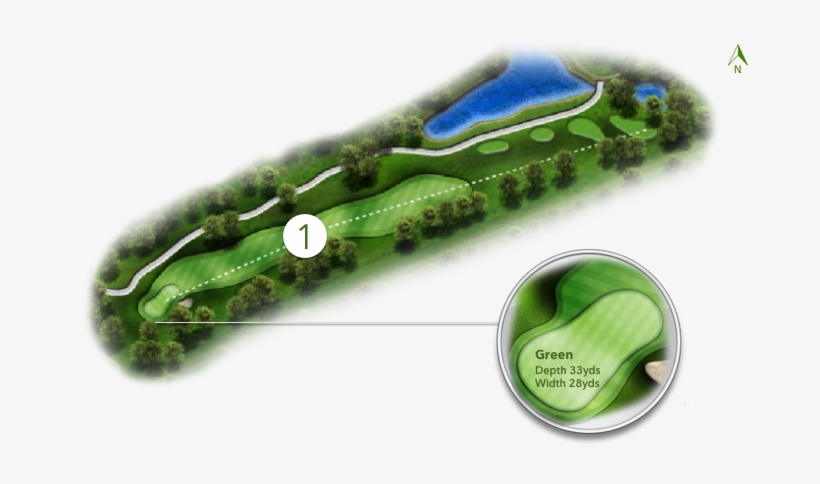 Course Tour - Sea Lettuce, transparent png #3127532