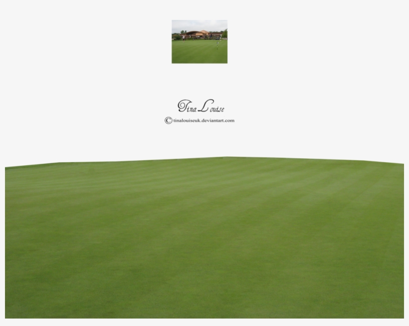 Grass Png By Tinalouiseuk On Deviantart - Lawn, transparent png #3127556