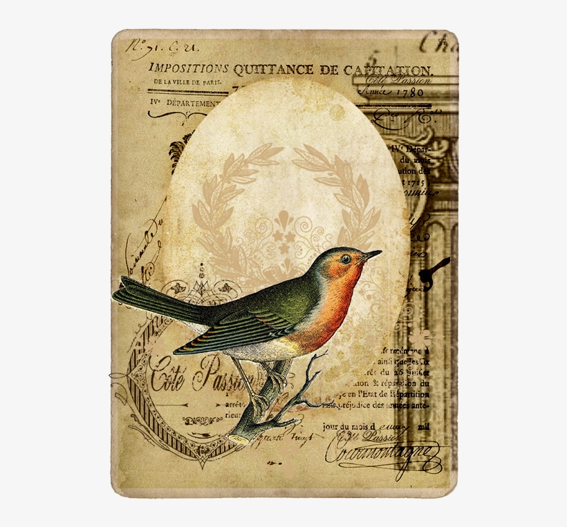 83087601 O - East Urban Home 'vintage Bird 3' Graphic Art Print, transparent png #3127627