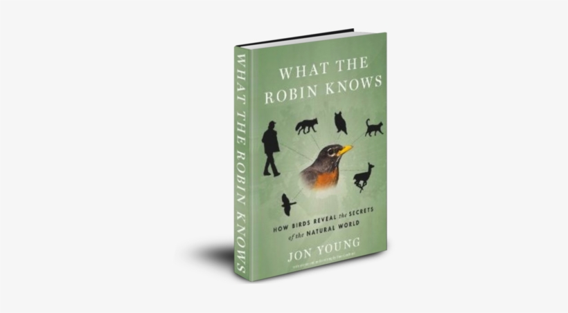 What The Robin Knows Jon Young - Robin Knows: How Birds Reveal The Secrets Of, transparent png #3127681