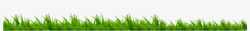 Please Review Our Photo/video Disclaimer Here - Sweet Grass, transparent png #3127873