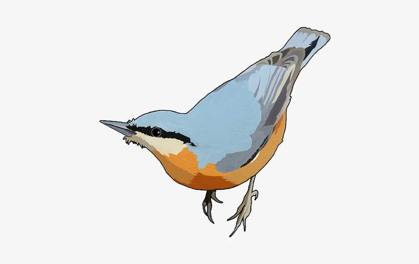 Seed Mix - Sittidae, transparent png #3127952