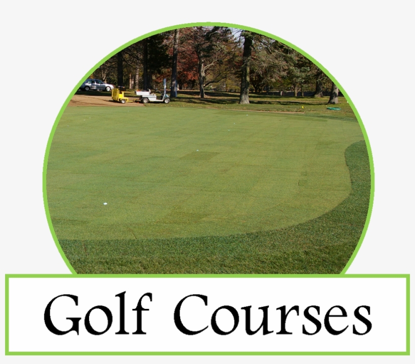 A Golf Putting Green, Grass Tennis Court Or A Soccer - Lawn, transparent png #3127953