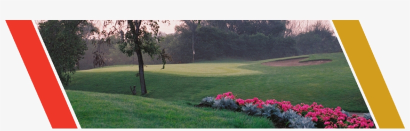 Lawn, transparent png #3128046