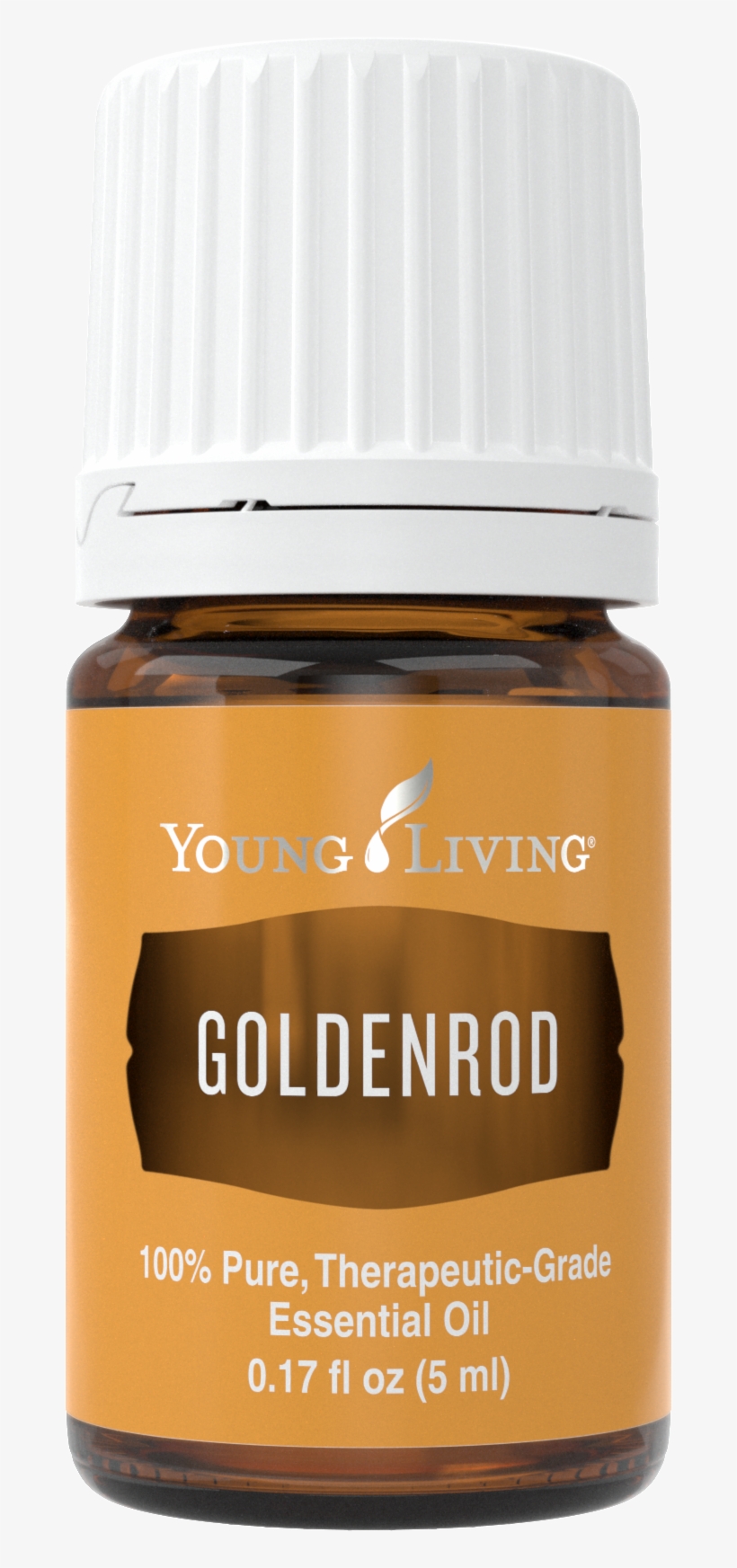 Goldenrod - Young Living Ocotea Essential Oil 5 Ml, transparent png #3128184