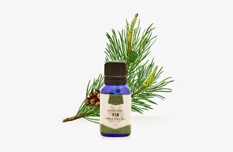 Fir Essential Oil - Aroma Foundry Fir Essential Oil - 15 Ml - 100% Pure, transparent png #3128248