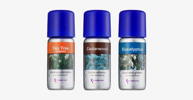 Respiratory System - Easecox Essential Oil 内分泌, transparent png #3128869