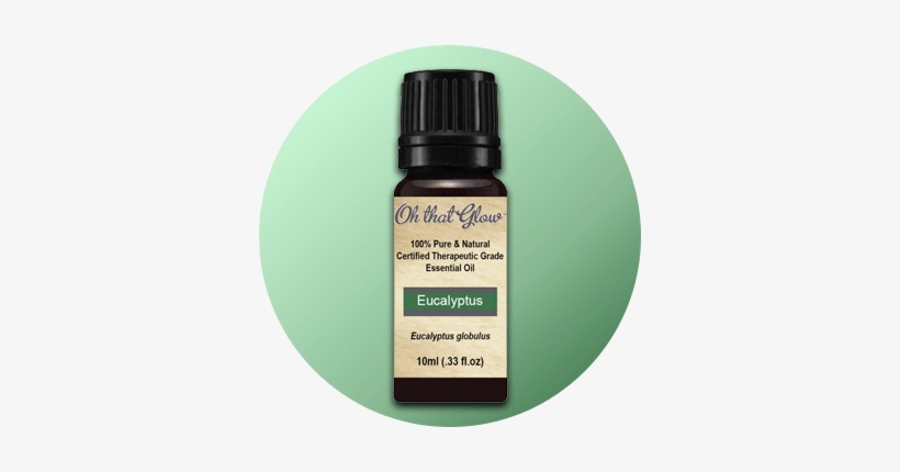 Eucalyptus Essential Oil - Plant Therapy Spring Blossoms Essential Oil. 100% Pure,, transparent png #3129139
