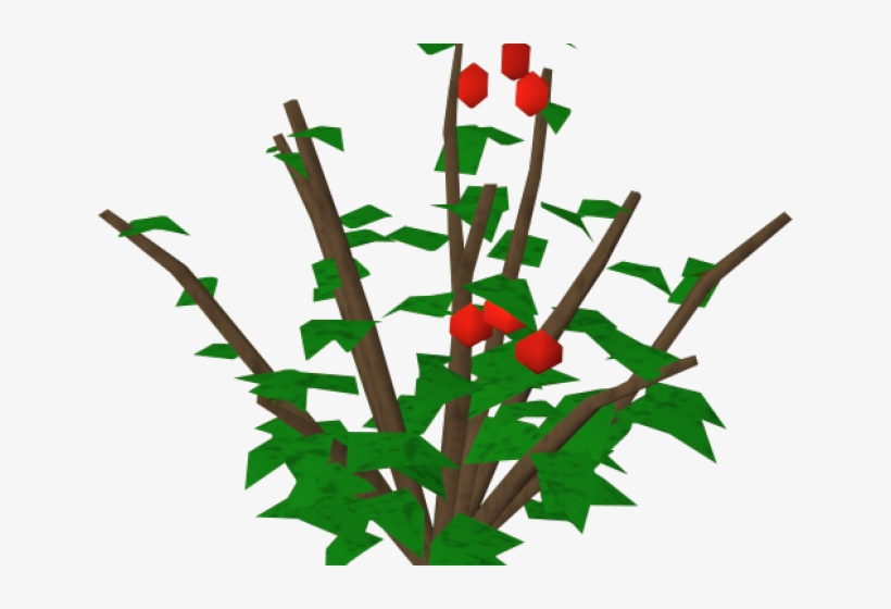 Rose Bush Clipart Holly Berry Bush - Berry, transparent png #3129441