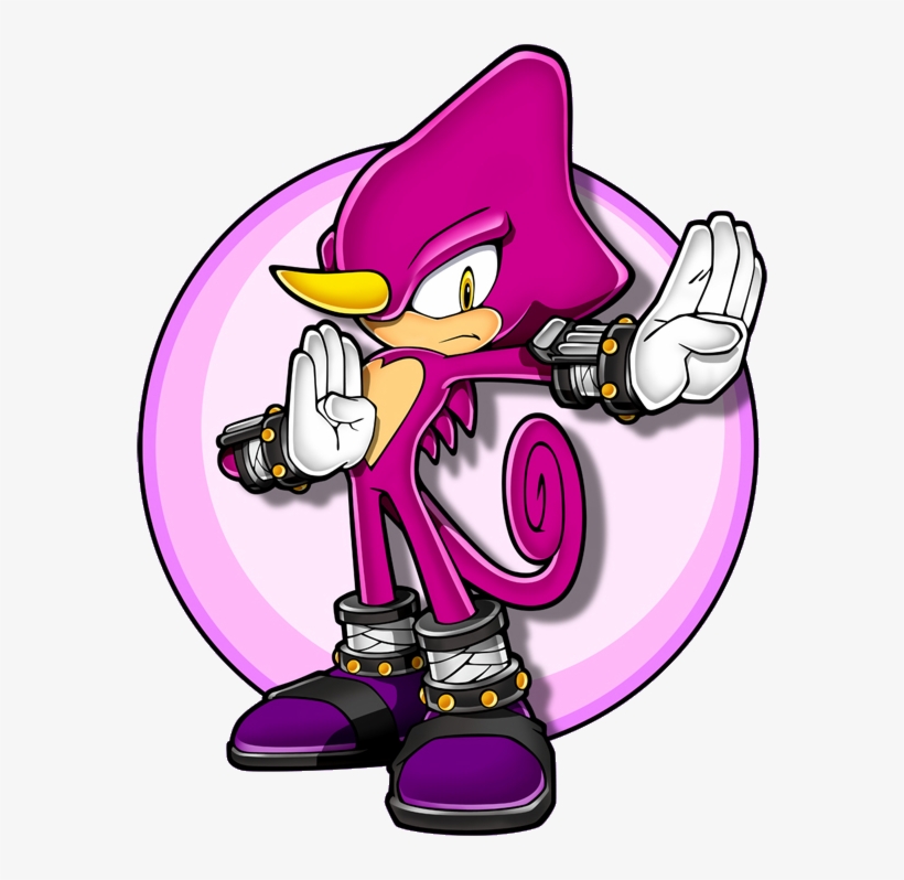 Jun 18, 09 At - Espio The Chameleon, transparent png #3130921