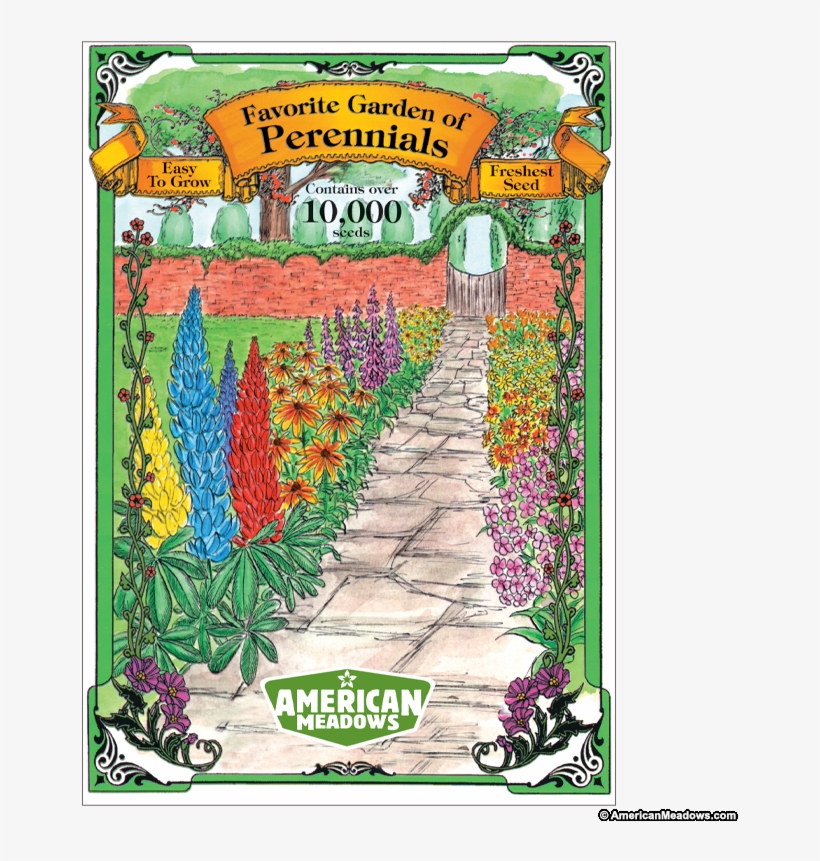 Favorite Garden Of Perennials Jumbo Packet - Jumbo Frame, transparent png #3130992