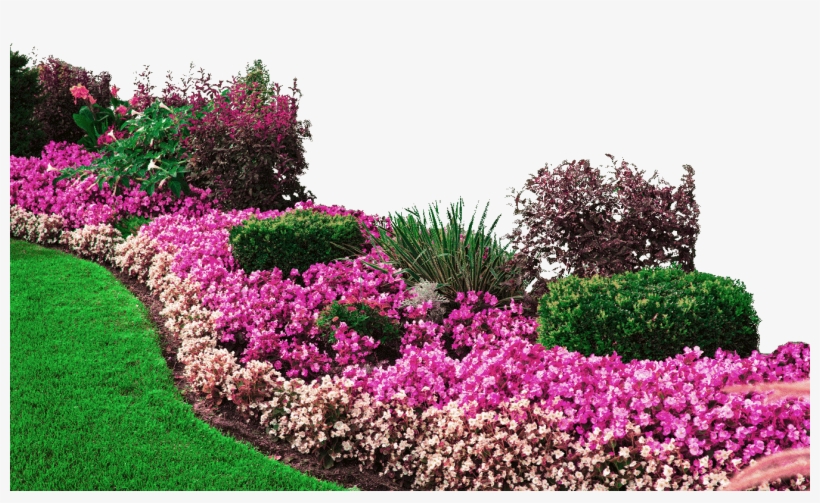Browse Turf Varieties - Decoracion Jardin De Casas, transparent png #3131316