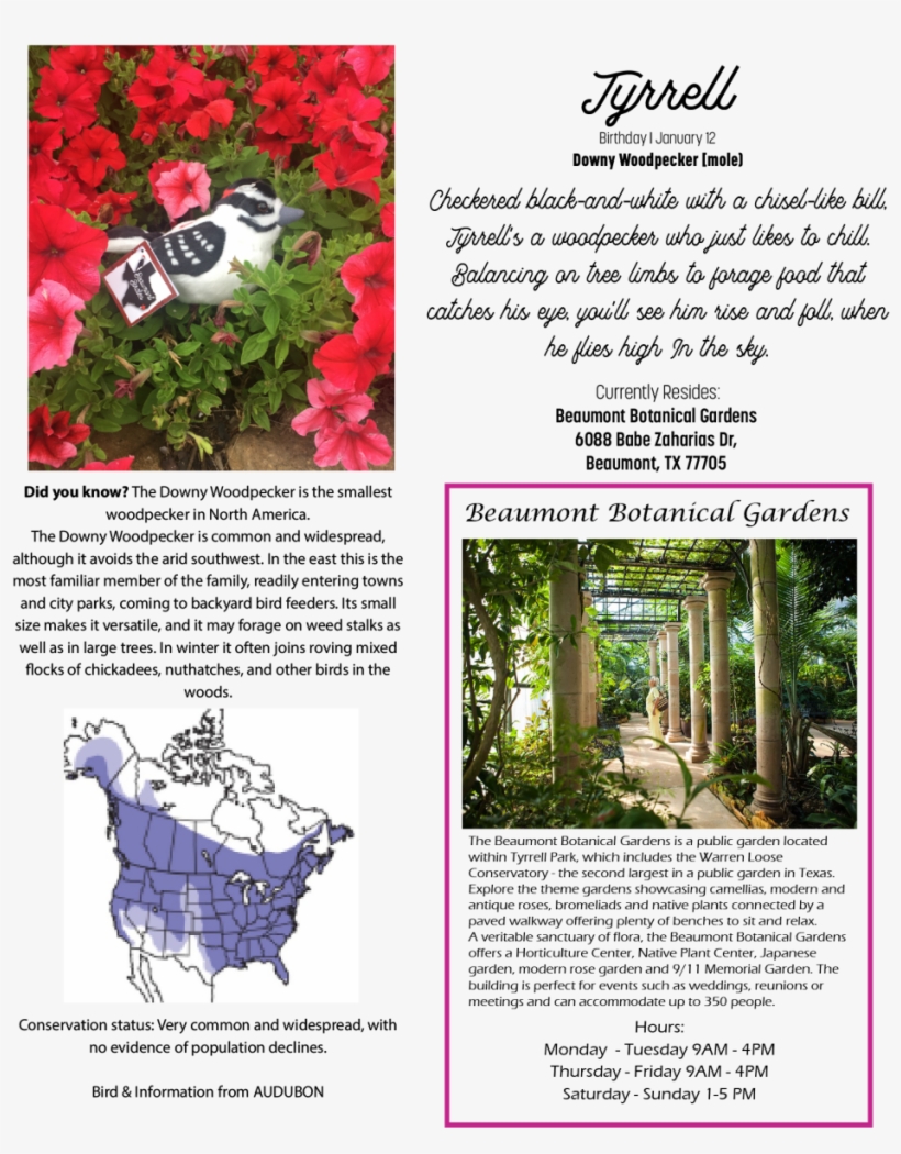 Ruffed Grouse Range, transparent png #3131430