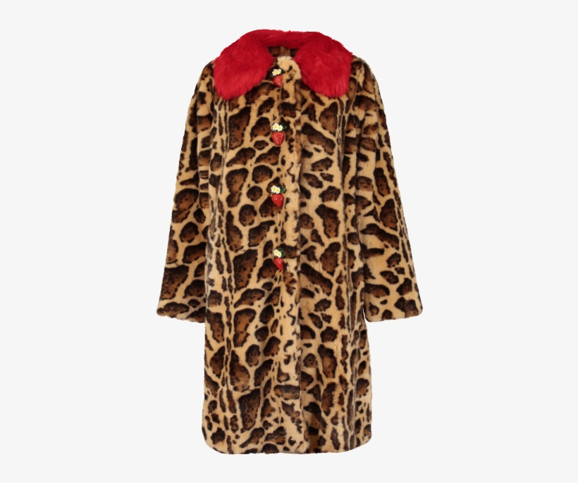 Dolce & Gabbana - Coat, transparent png #3132344