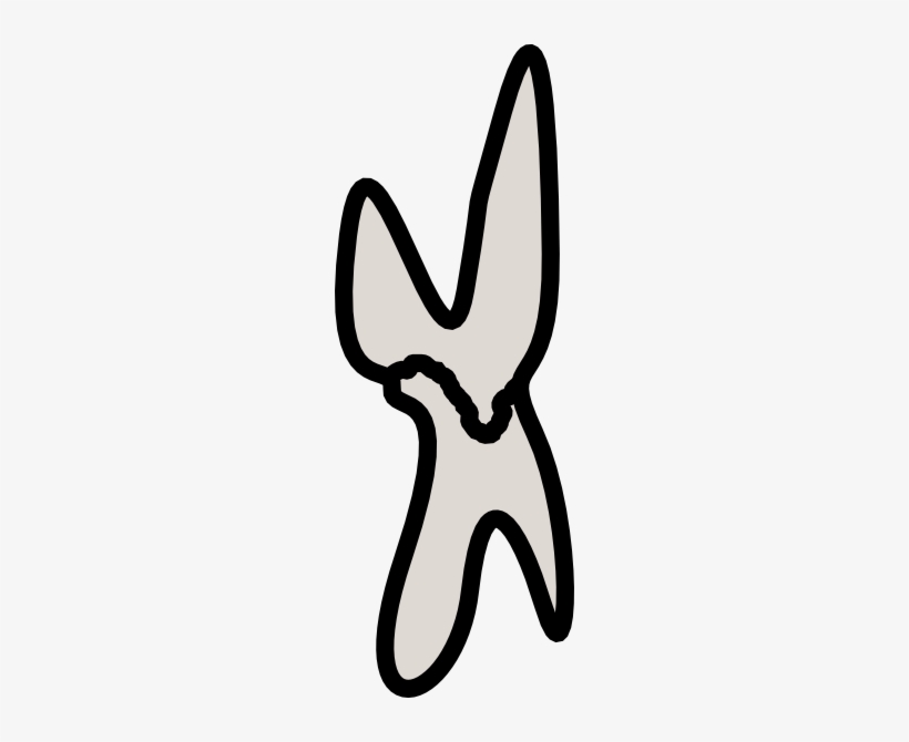 Small - Stalactite, transparent png #3132862