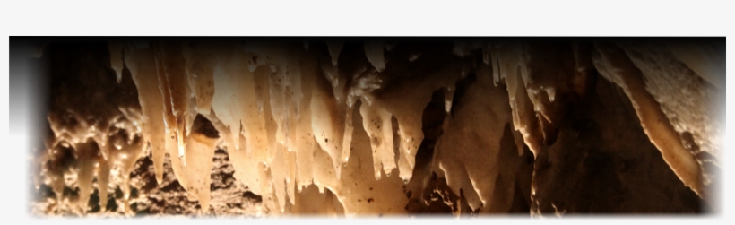 Soda Straw, transparent png #3132998