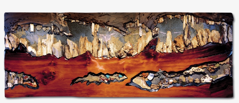 Nature's Bounty Series - Exposures International Gallery, transparent png #3133046