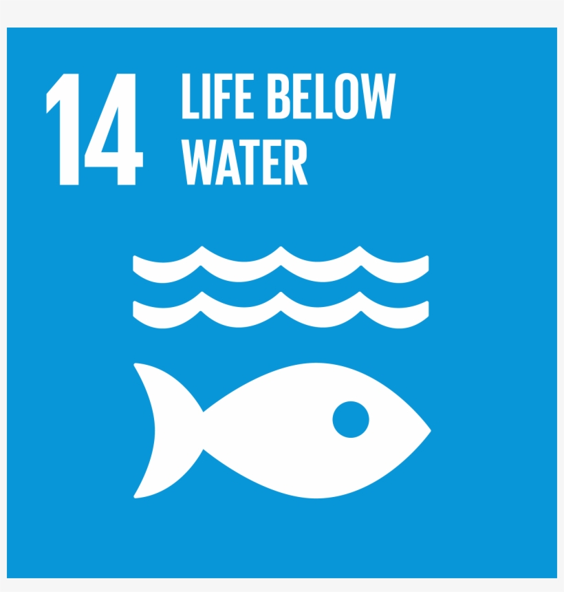 The Un Life Below Water Sdg Free Transparent Png Download Pngkey