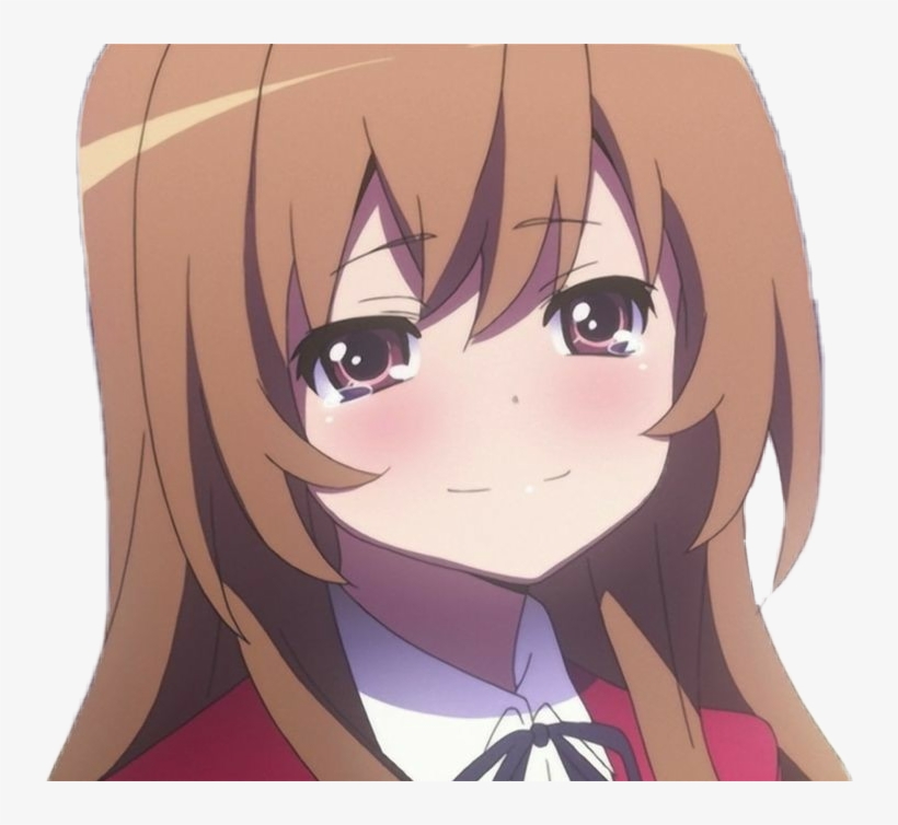 Taiga Taigaaisaka Toradora Toradora Taiga Toradora - Aisaka Taiga, transparent png #3134907