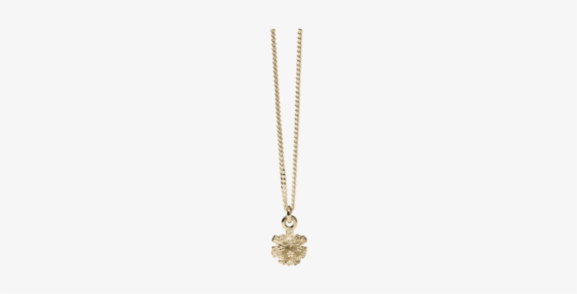 Pom Pom Charm Necklace - Necklace, transparent png #3135320