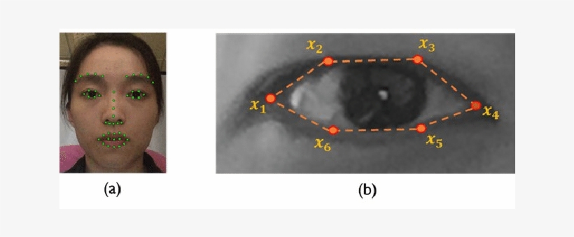 The Landmarks Tracked By The Face Alignment Model - Bead, transparent png #3135588