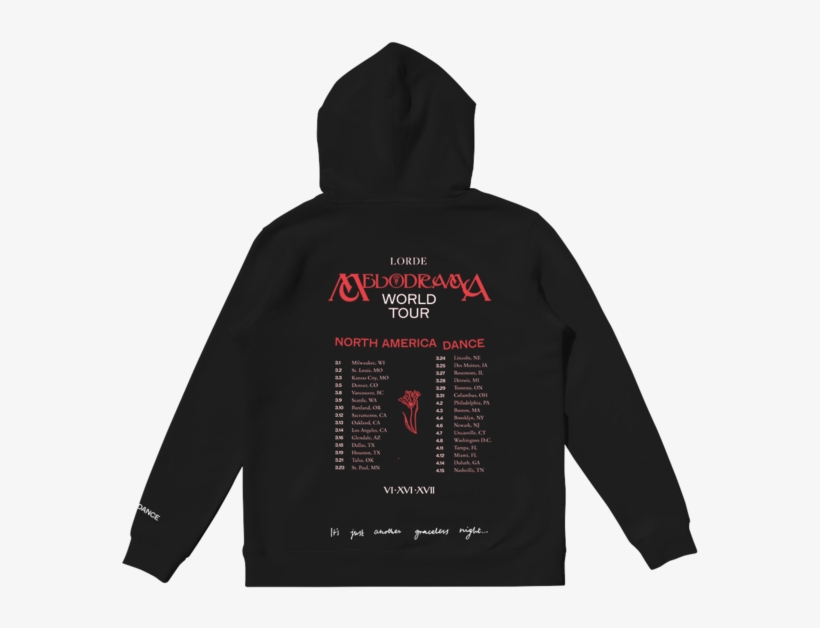 Sudadera Thrasher Llamas, transparent png #3138257