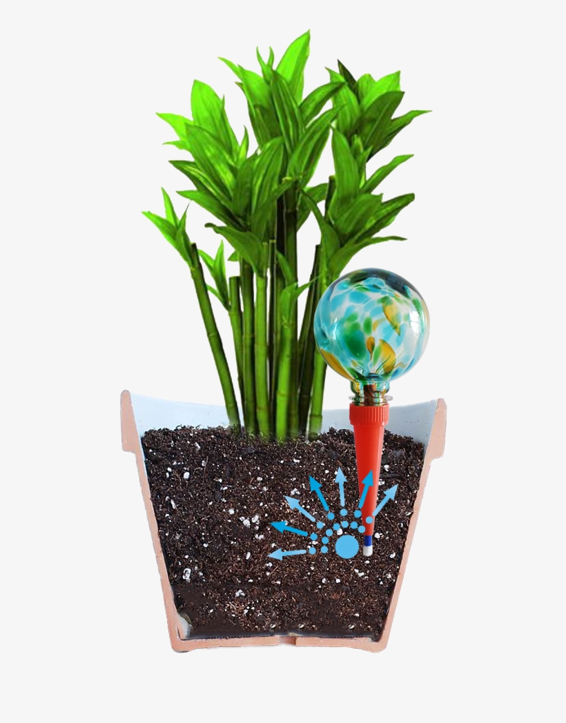 Do You Love Houseplants But Hate The Chore Of Watering - Plantpal Watering Globe Plant Watering System, transparent png #3138553