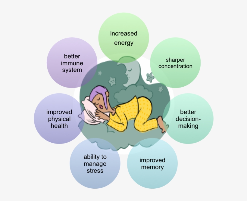 Sleeping Benefits, transparent png #3139468