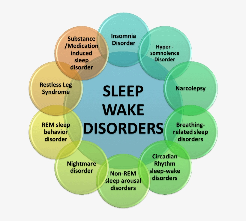 Good Sleep Promotes Good Health - Sleep Disorders, transparent png #3139543