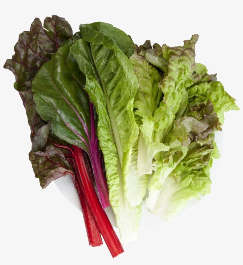 Hydroponic Super Salad Mix, transparent png #3139617