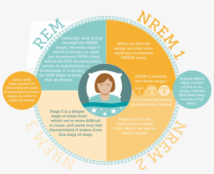 The Sleep Council How Much Sleep Do We Need - Book, transparent png #3139993