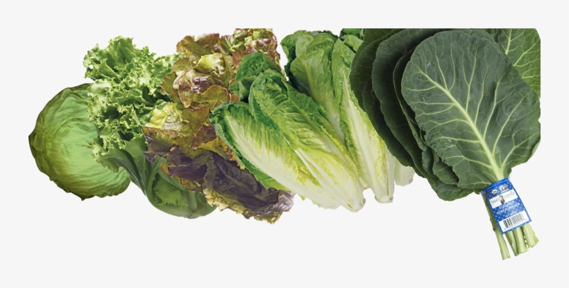 Beets - Lettuce And Greens, transparent png #3140178