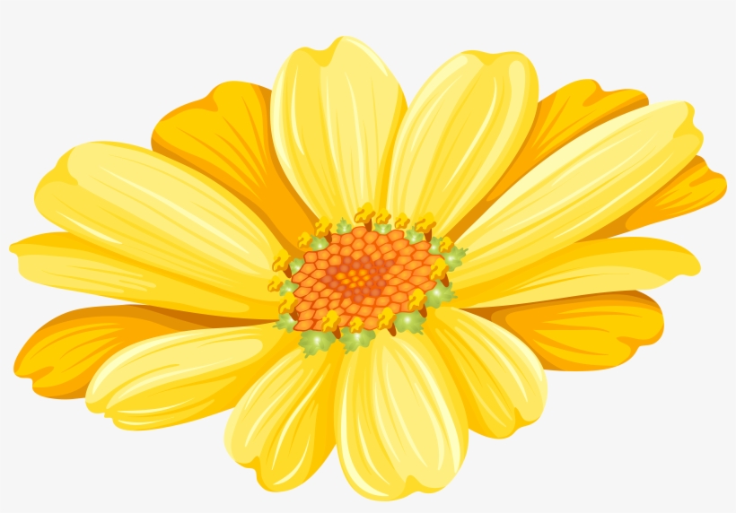 Marguerite Daisy Argyranthemum Frutescens, transparent png #3140209