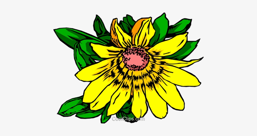 Yellow Daisy Royalty Free Vector Clip Art Illustration - Orchids, transparent png #3140427