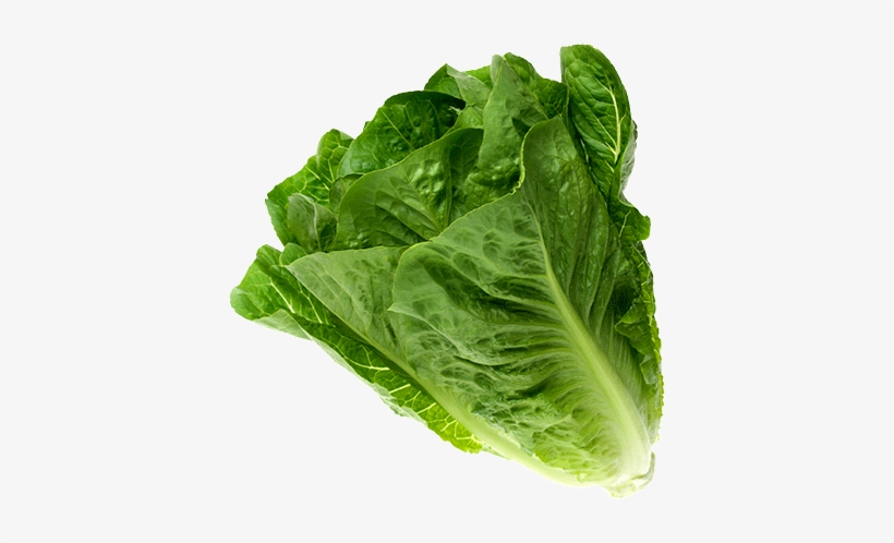 Romaine - Spring Greens, transparent png #3140455